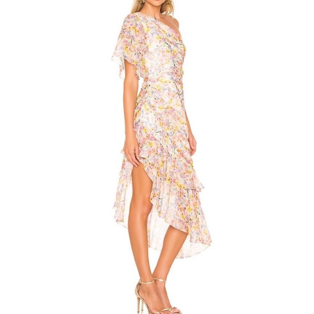 AMUR Asymmetrical Clayton Floral Dress in Wild Meadow Size 8